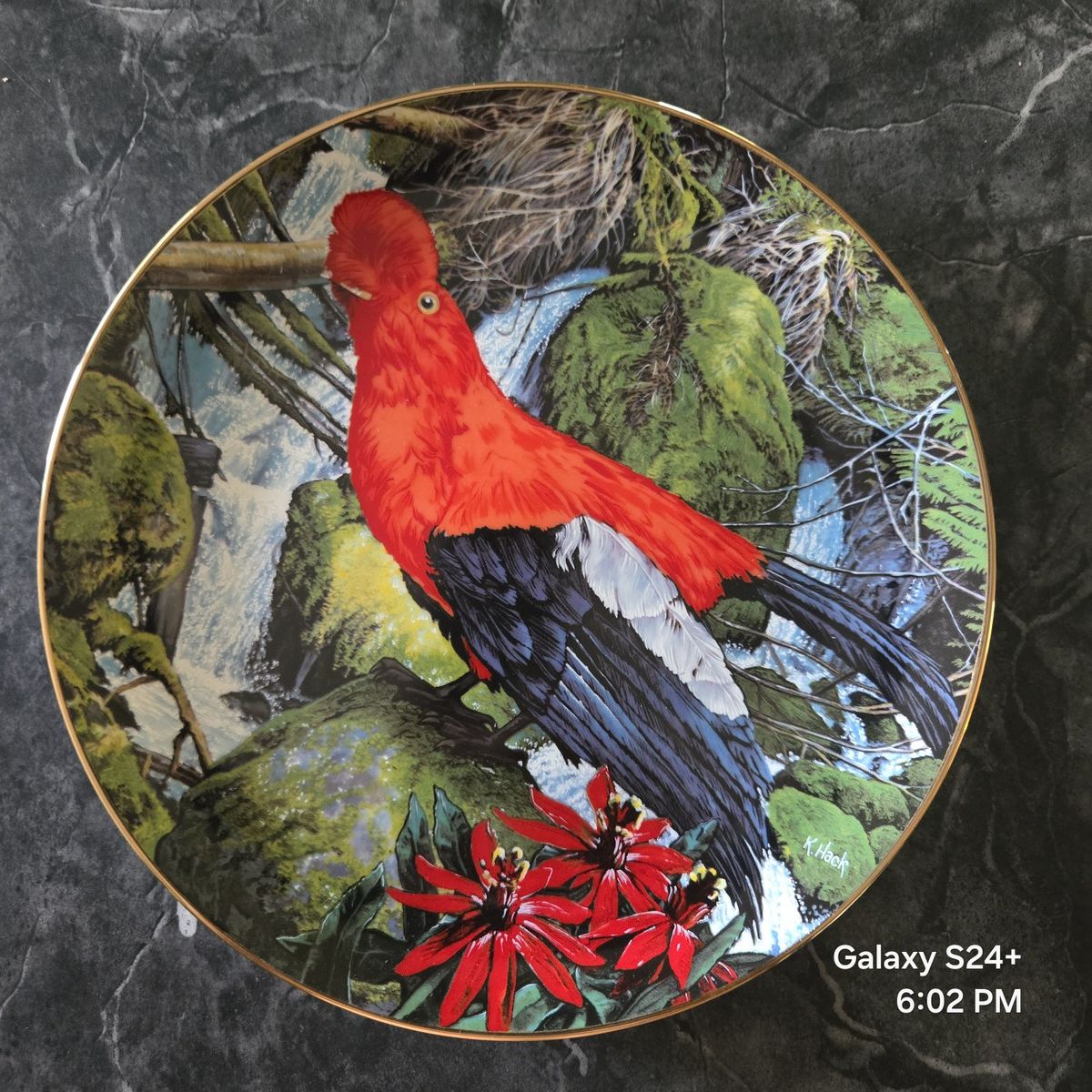Limited Edition 1982 Roman, Inc. "Andean Cock-of-the-Rock" Plate, The Exotic Birds of Tropique