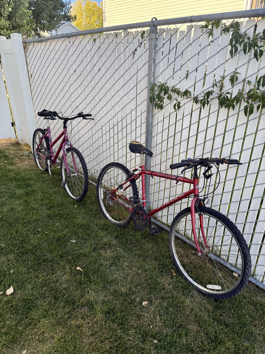 Raleigh Zest and Apollo Laser Bikes