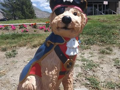 Plastic pirate dog statue 3 ft