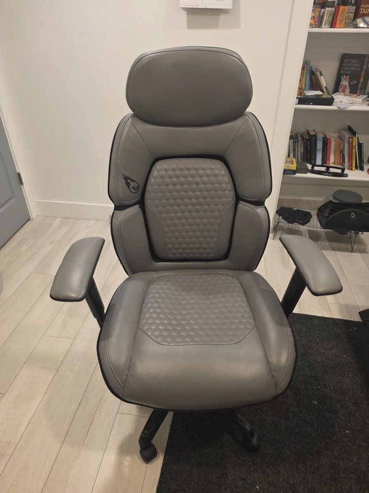 Couture Chair Gray Faux Leather Ergonomic Office Desk Chair with Lumbar Support