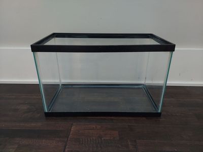 10 gallon fish tank
