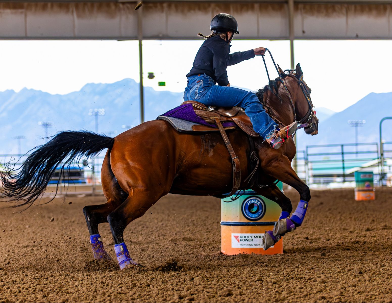 Barrel Horse