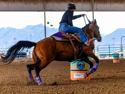 Barrel Horse