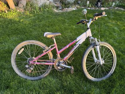 Girls Schwinn Bike