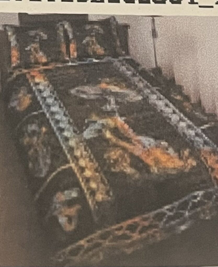 New Mushroom Fungi Queen Bed Set Comforter