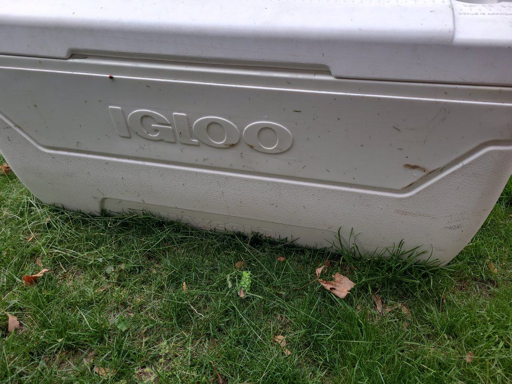 igloo 3 foot long cooler