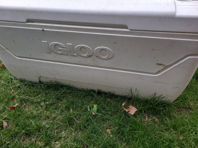 igloo 3 foot long cooler