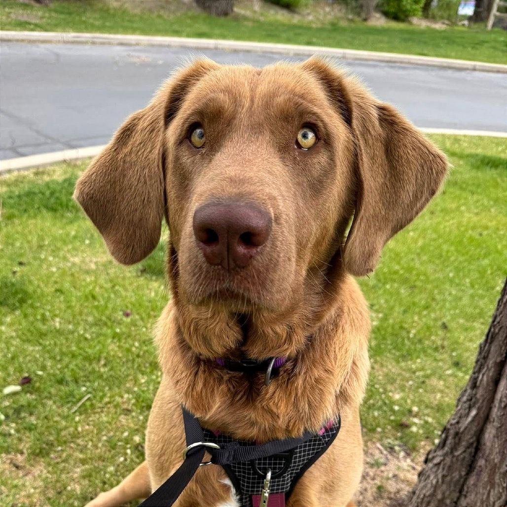Hello my name is Canela