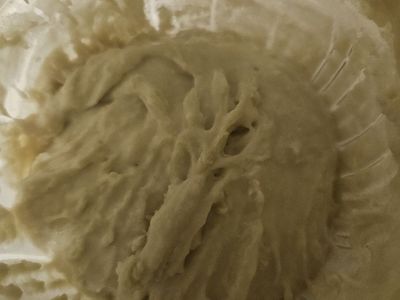 Sourdough starter