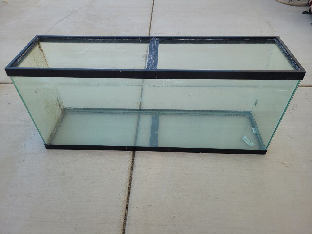 55 gallon glass terrarium