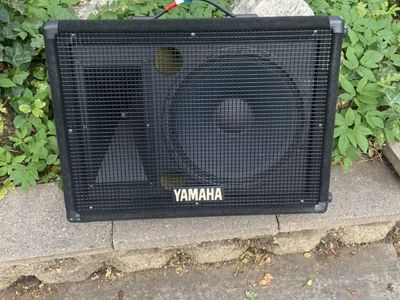 Audio sound - speaker/monitor