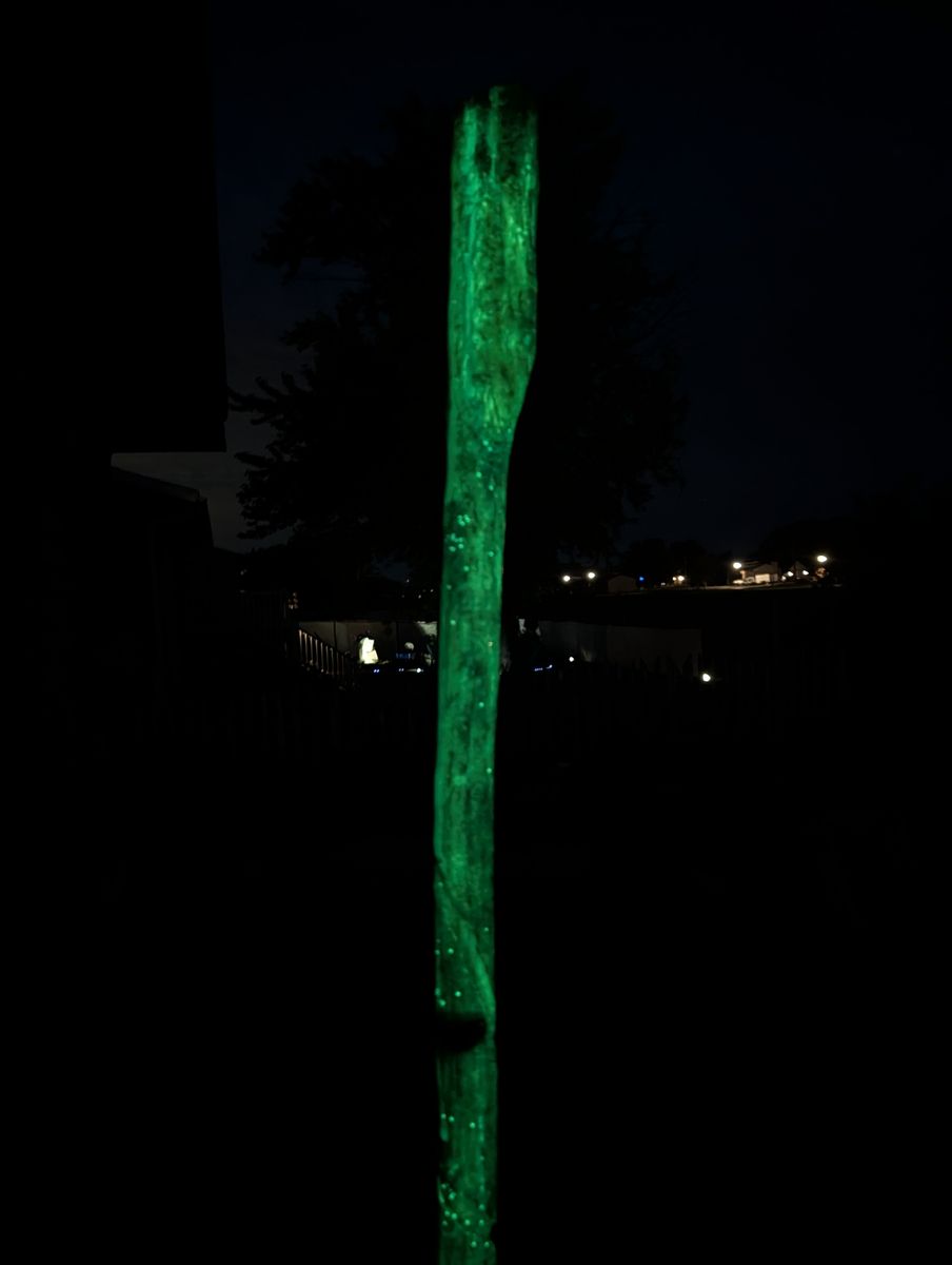 Main image 2