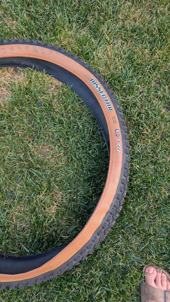 Maxxis Dissector tanwall