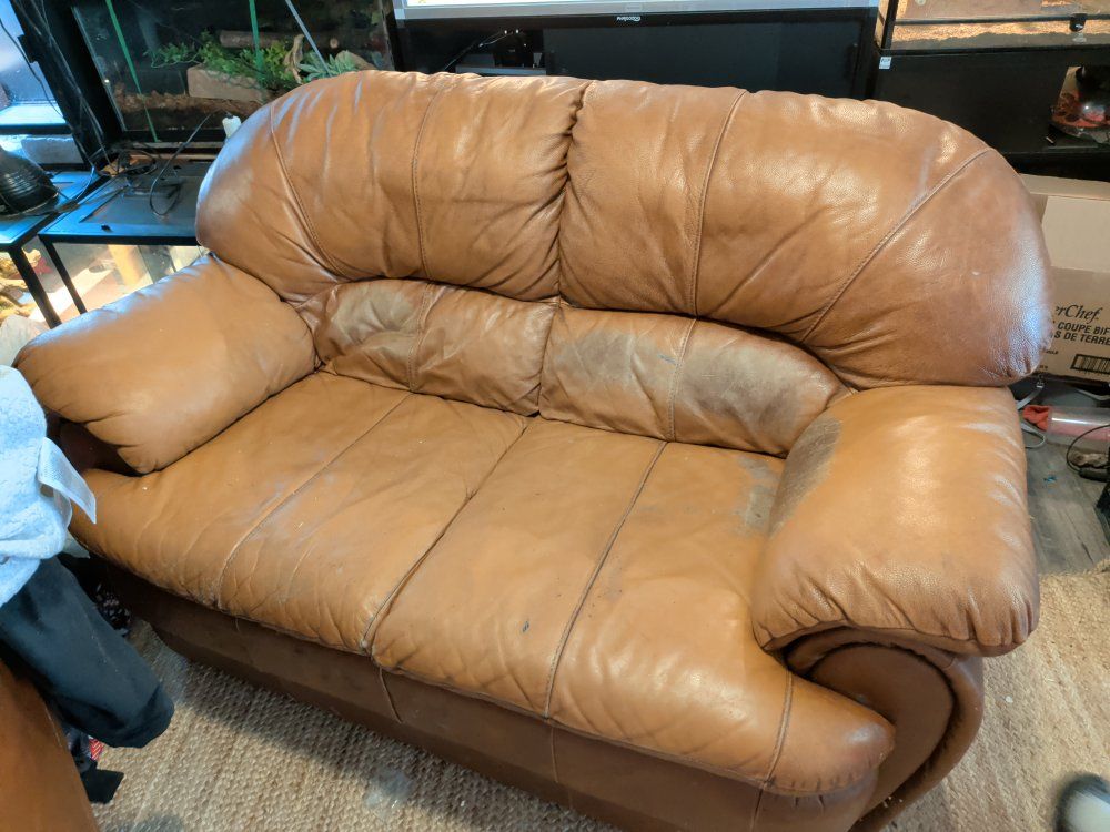leather love seat minor ware