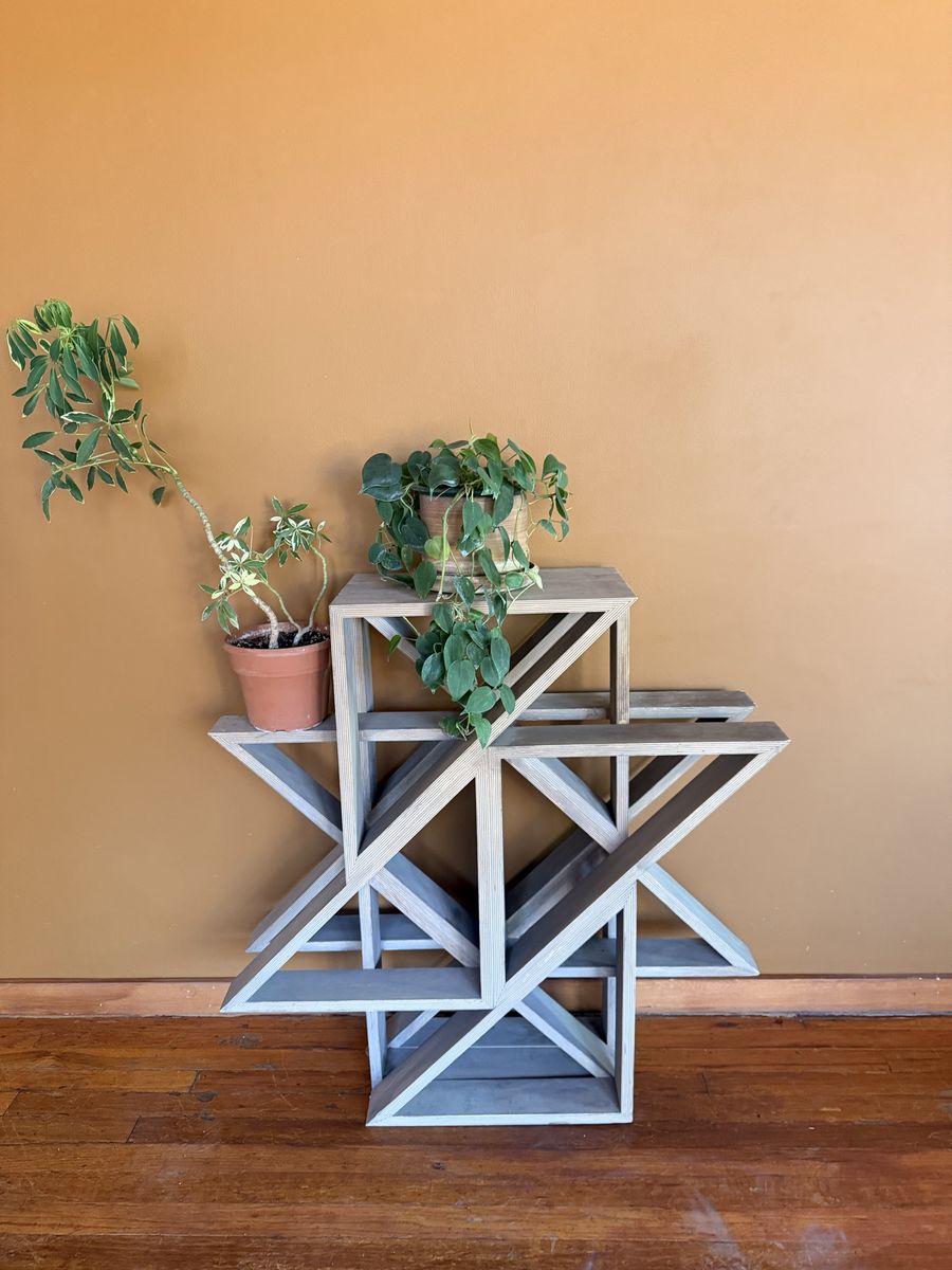 Unique Geometric Wood Shelf - Modern Display Unit for Plants, Books & Decor