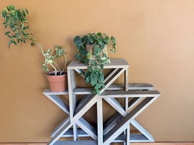 Unique Geometric Wood Shelf - Modern Display Unit for Plants, Books & Decor
