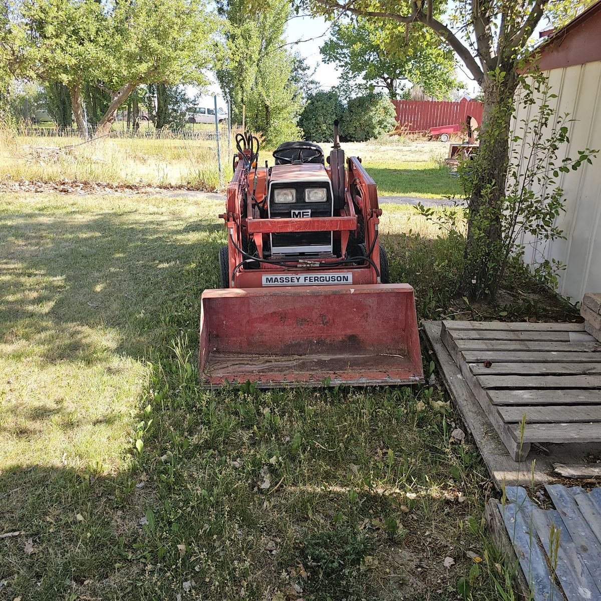 Main image 11