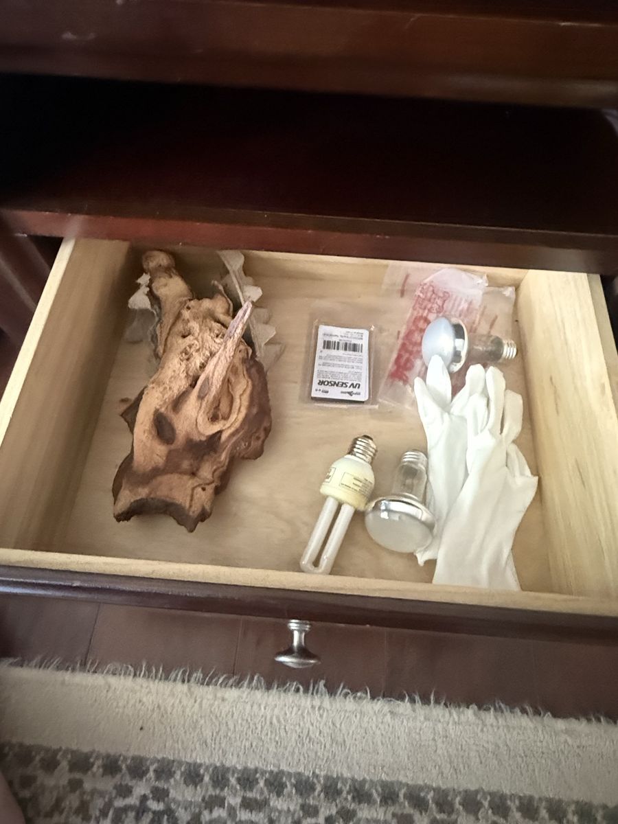 Main image 5