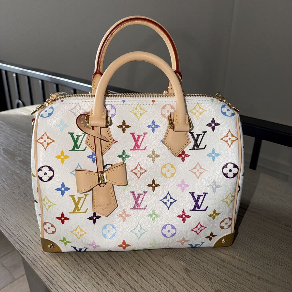 Louis Vuitton Speedy 25 purse Murukami 20th annive