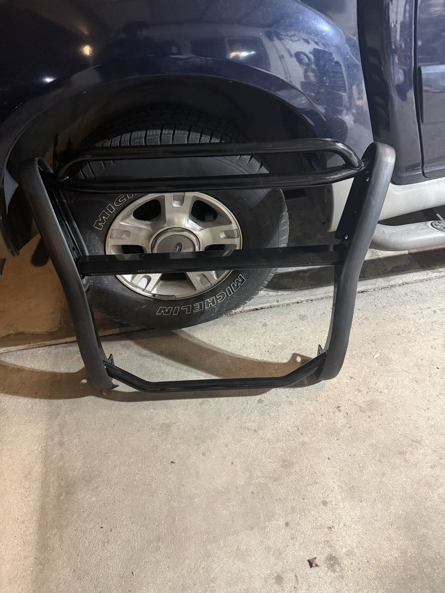 Brush guard