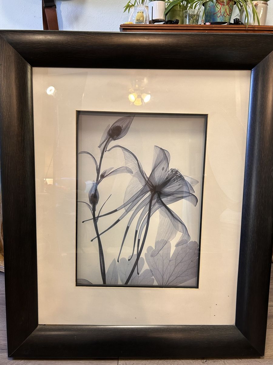 Floral framed photograph