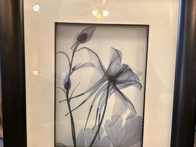 Floral framed photograph