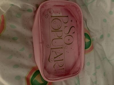 Glinda wicked makeup bag