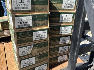 Toe and Heel Horse Shoes size 3