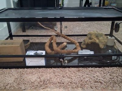 40 gallon Terrarium and Supplies