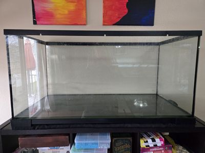 55 Gallon Fish Tank