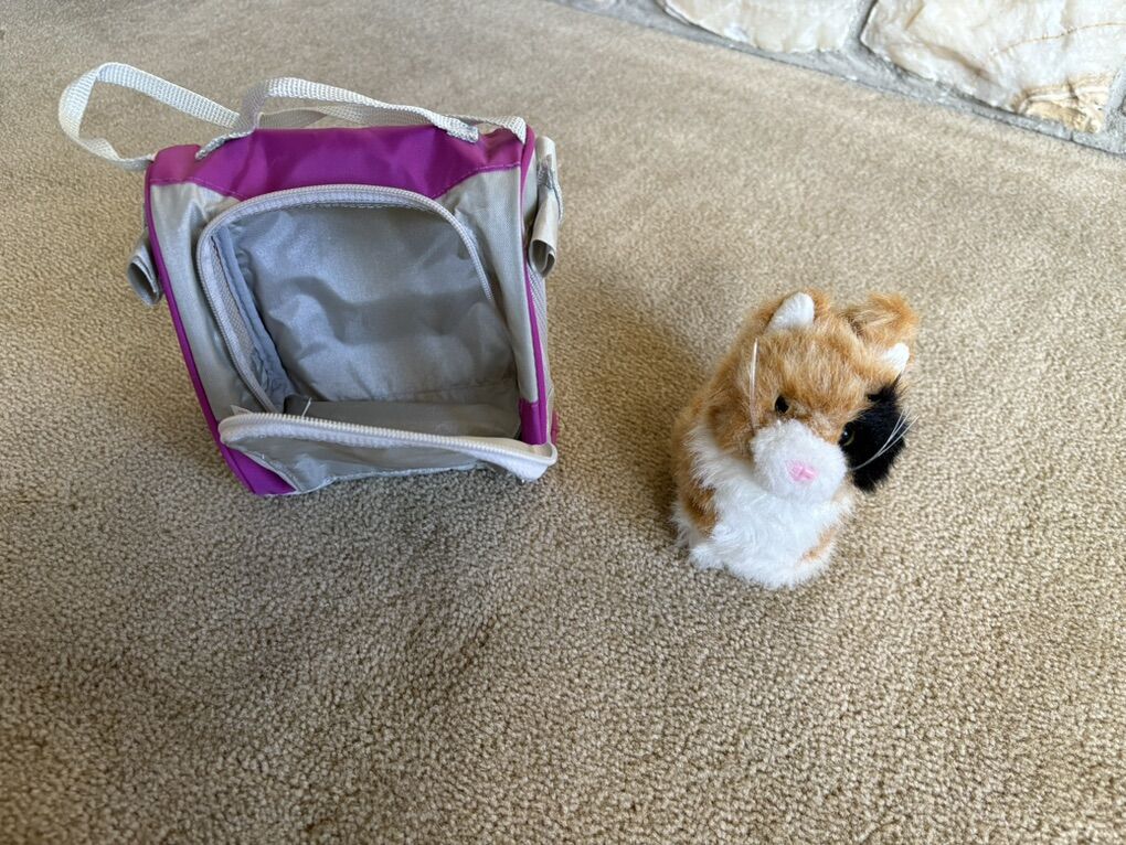 American Girl Pet Cat and Carrier Set
