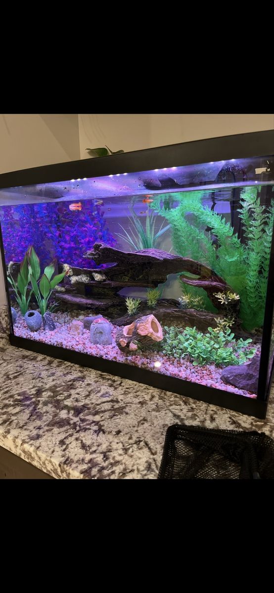 Topfin 20 Gallon Fish Tank