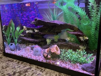 Topfin 20 Gallon Fish Tank
