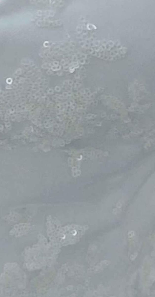 Main image 3