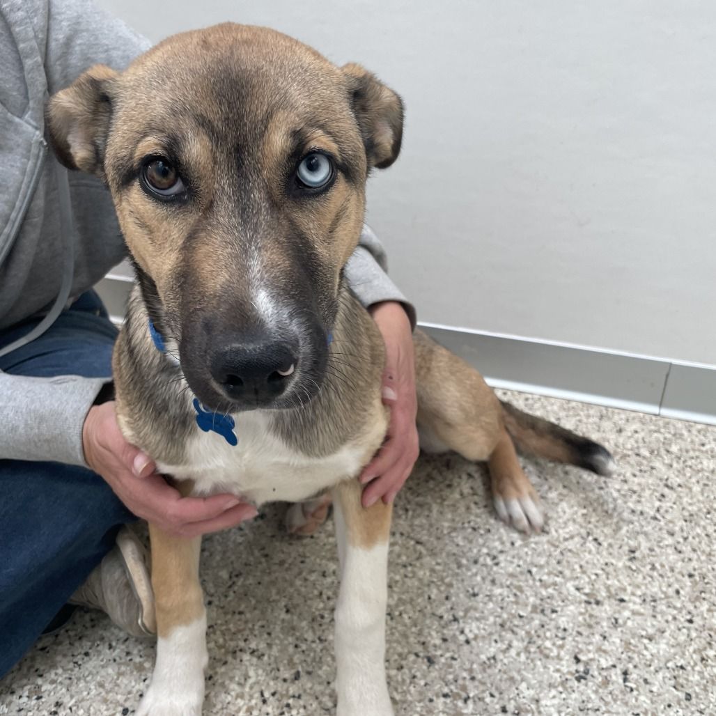 Hello my name is Butterball