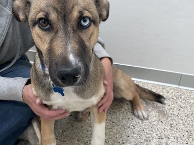 Hello my name is Butterball