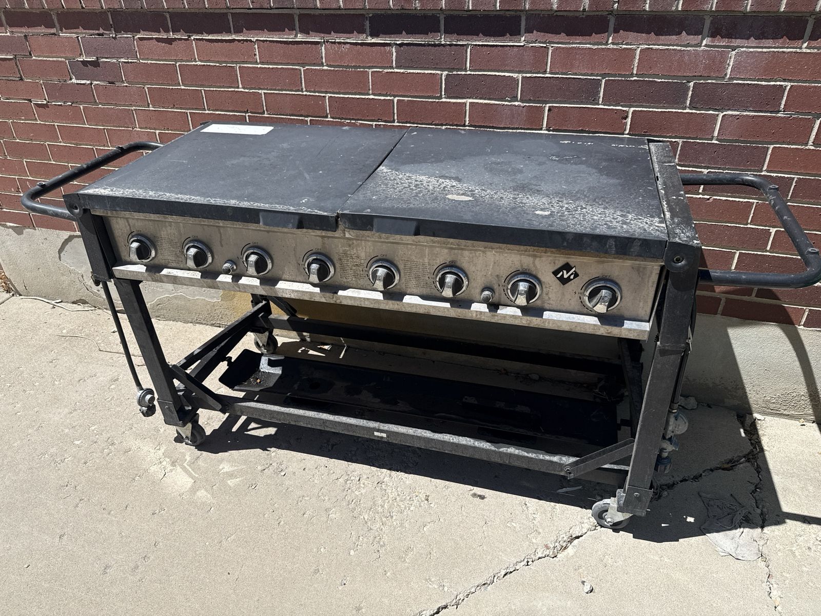 6 burner grill 