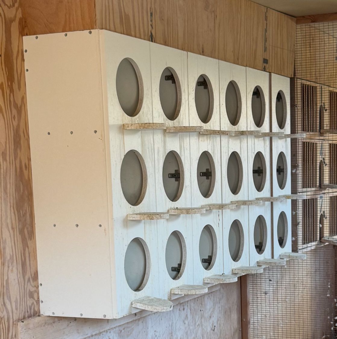 Free Pigeon Nest Boxes