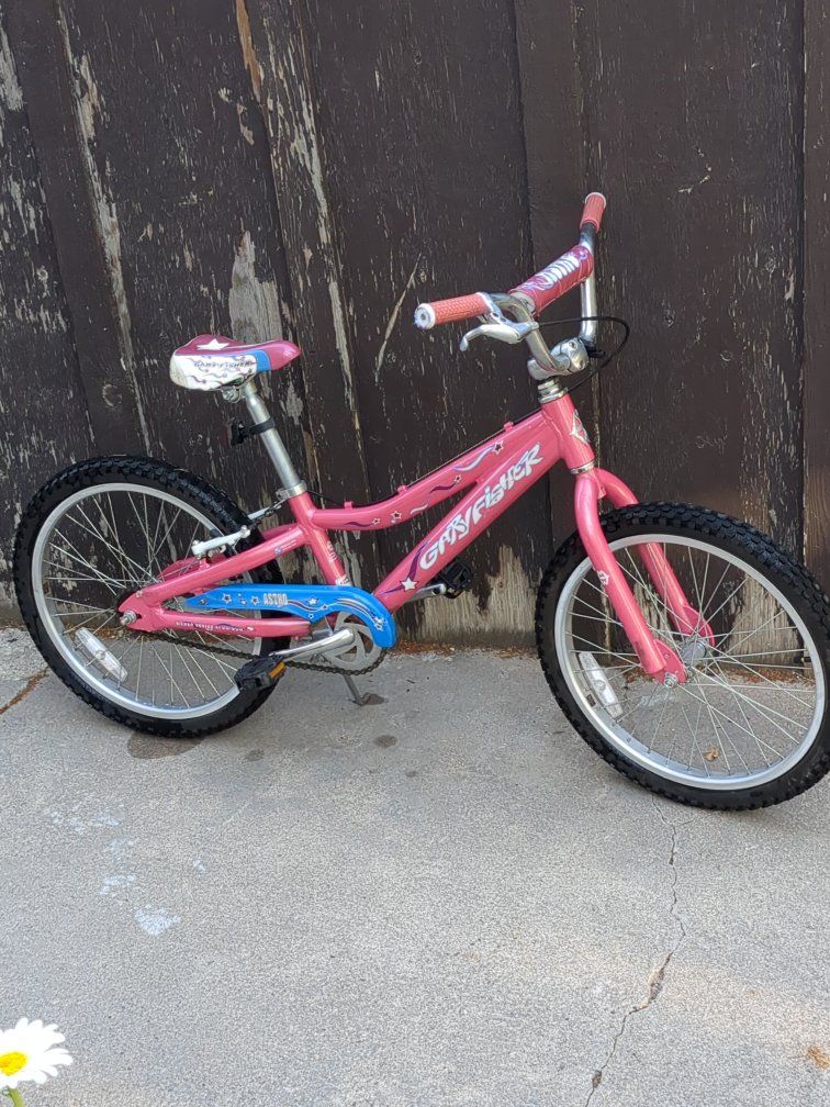 2007 Gary Fisher Astro 20"