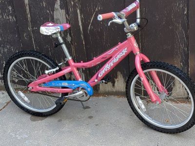 2007 Gary Fisher Astro 20"