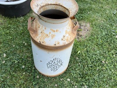 Vintage milk container