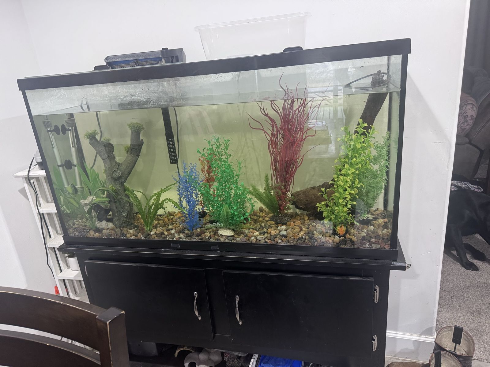 65 gallon complete aquarium set up OBO