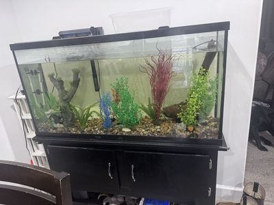 65 gallon complete aquarium set up OBO