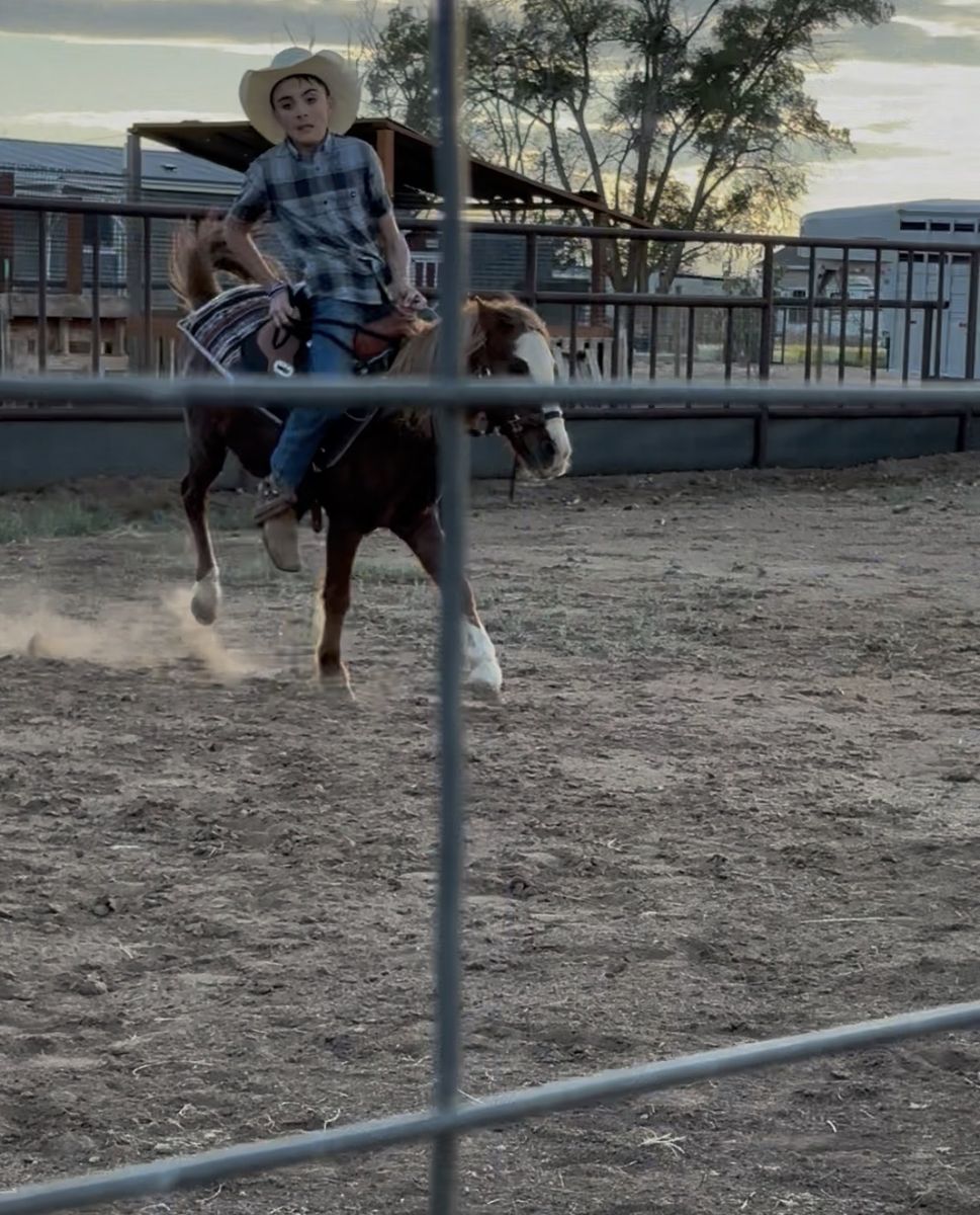 I do pony breaking text me for prices