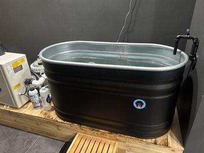 Polar Monkeys Cold Plunge