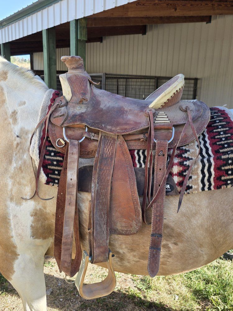 16" wade saddle