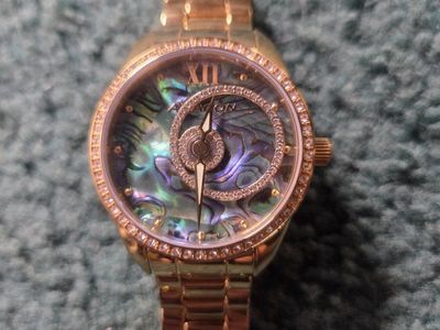 Oooh Shiny Watch!