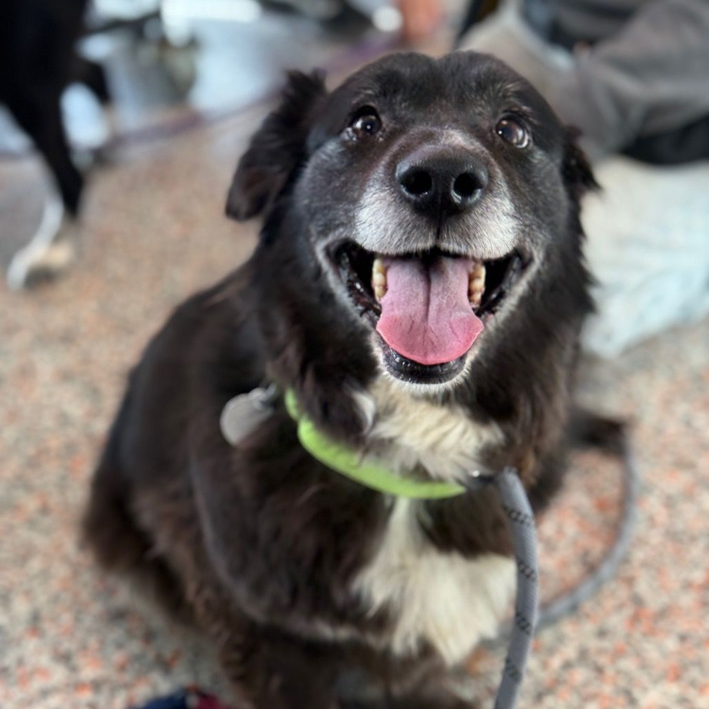 Hello my name is Carla