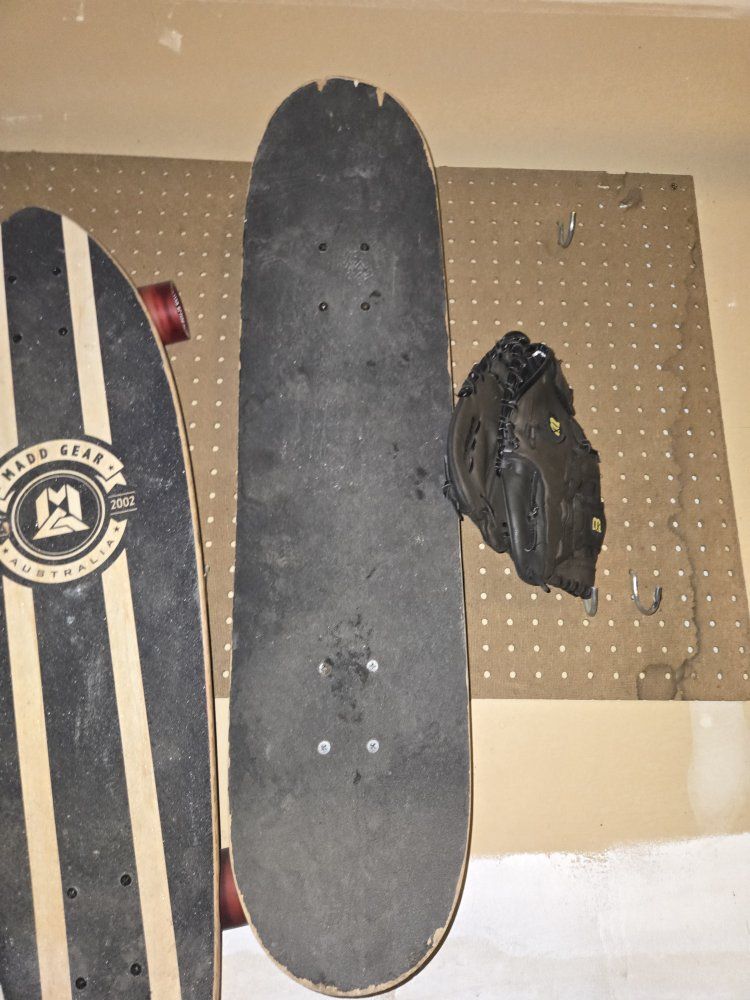 Skateboard with Lizard painting