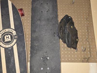 Skateboard with Lizard painting